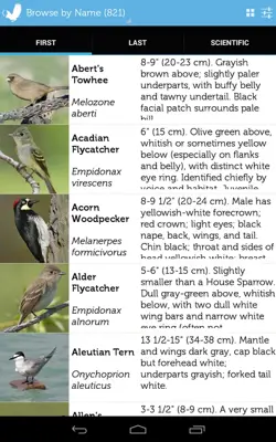 Audubon Bird Guide android App screenshot 5