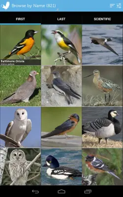 Audubon Bird Guide android App screenshot 6