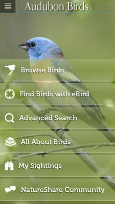 Audubon Bird Guide android App screenshot 7